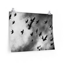 Load image into Gallery viewer, THE BIRDS